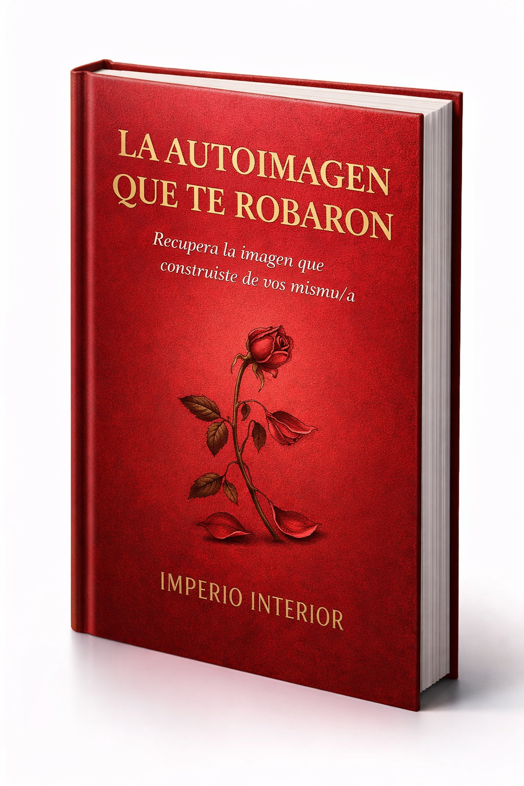 La autoimagen que te robaron